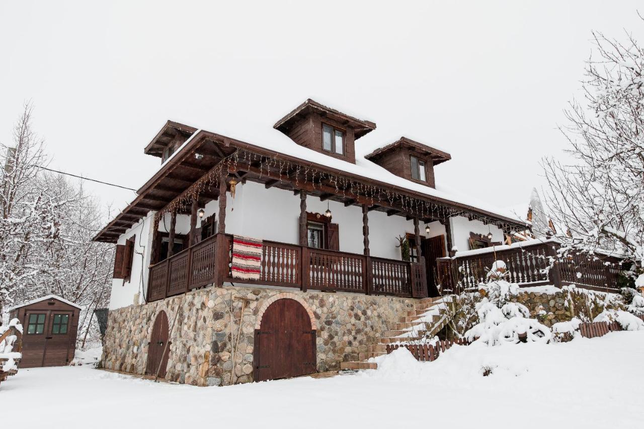 Villa Casa Cu Cerdac Nucşoara Exterior foto