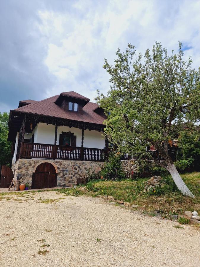 Villa Casa Cu Cerdac Nucşoara Exterior foto